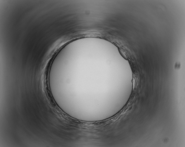 X0000103420339200809121017