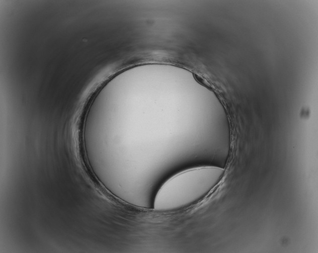 X0000103420341200809121017