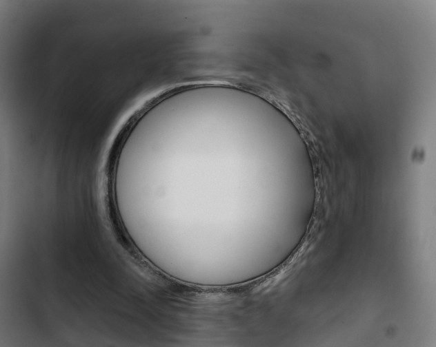 X0000103420342200809121017