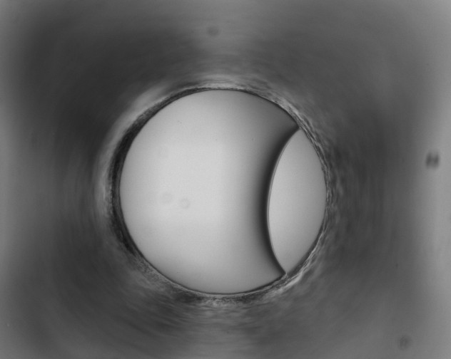 X0000103420343200809121018