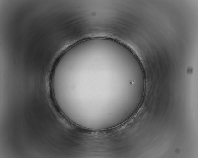 X0000103420345200809121018
