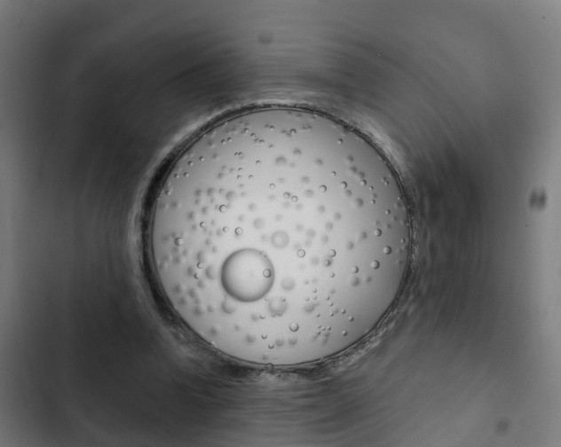 X0000103420346200809121018