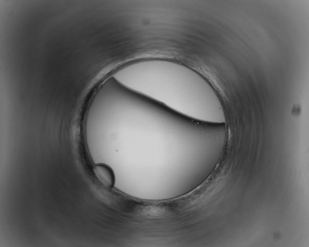 X0000103420348200809121018