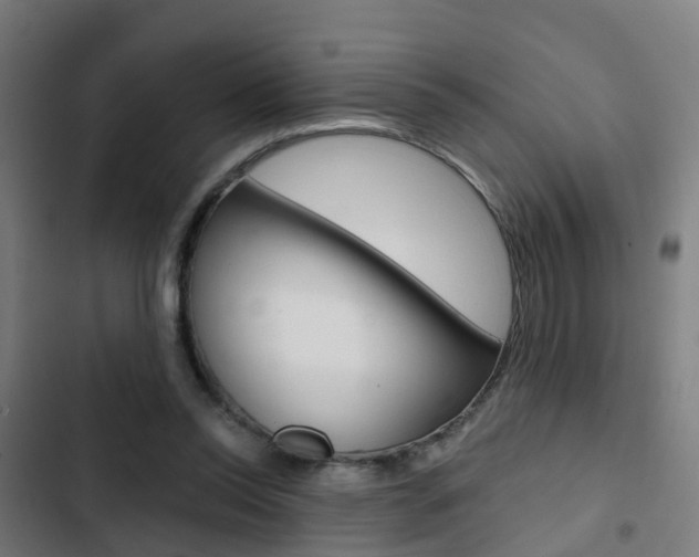 X0000103420350200809121018