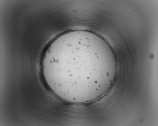 X0000103420351200809121018