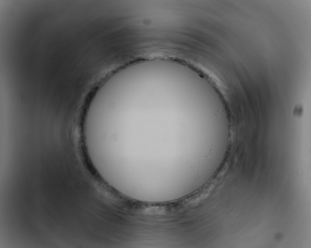X0000103420353200809121018