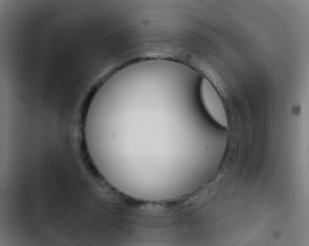 X0000103420354200809121018