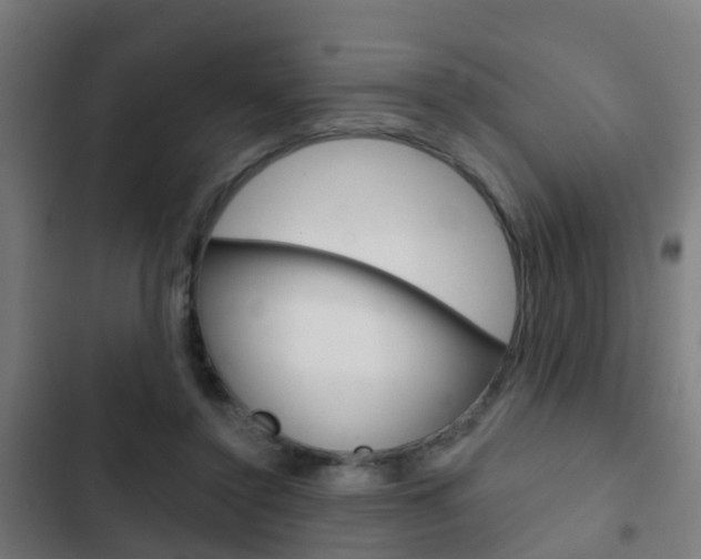 X0000103420356200809121018