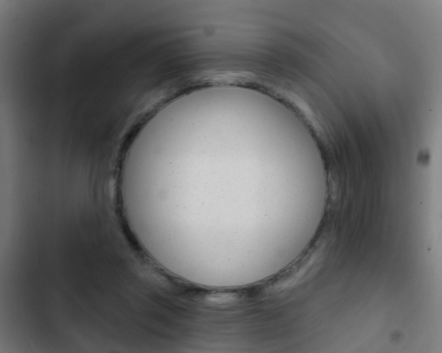 X0000103420357200809121018