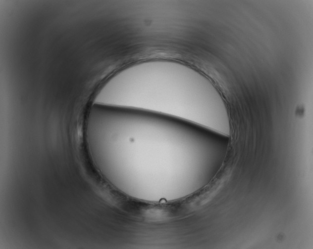 X0000103420358200809121018