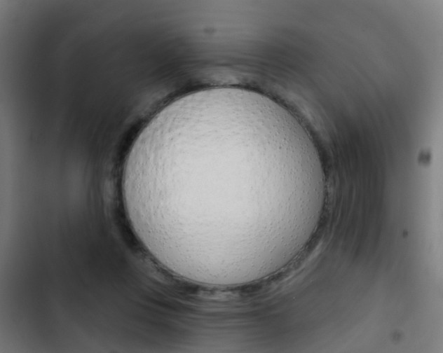 X0000103420359200809121018