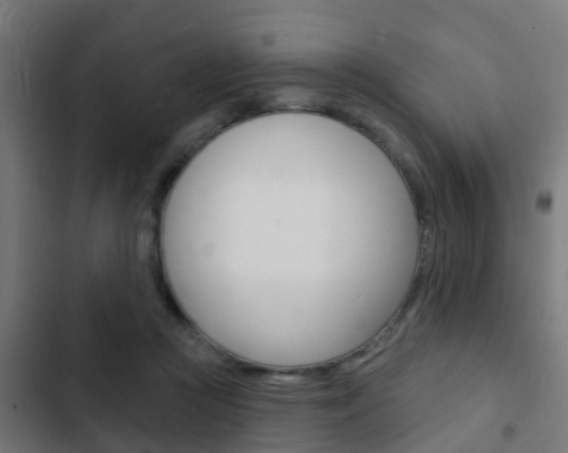 X0000103420361200809121018