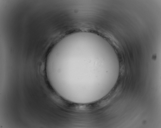 X0000103420365200809121018