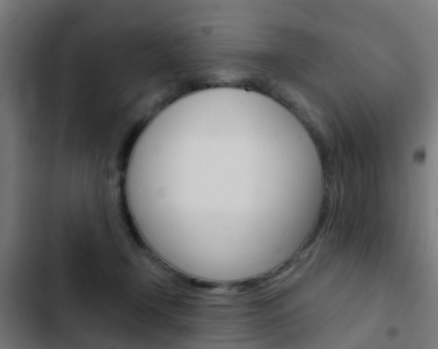X0000103420366200809121018