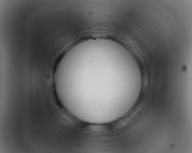 X0000103420367200809121018