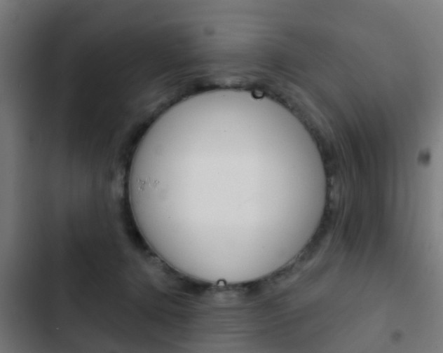 X0000103420368200809121018