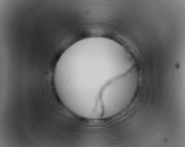 X0000103420369200809121018