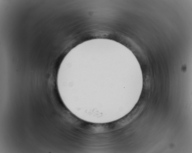 X0000103420370200809121018