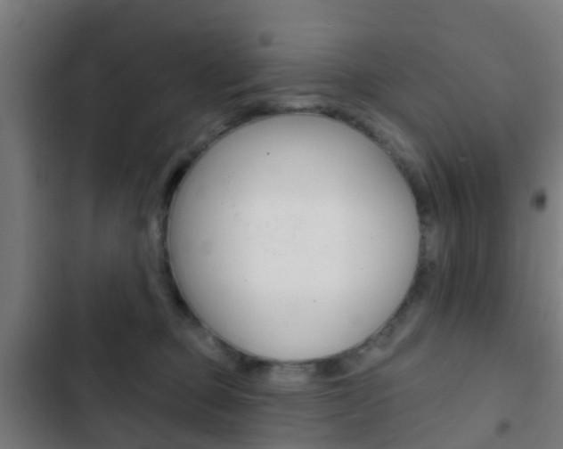 X0000103420373200809121018