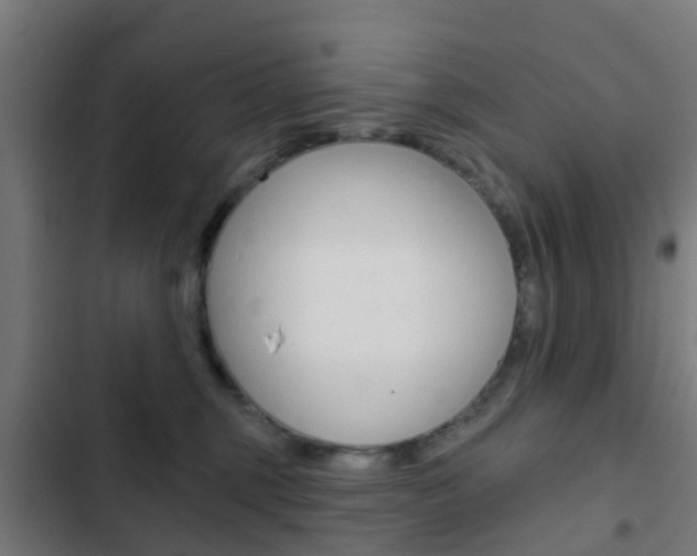 X0000103420375200809121018
