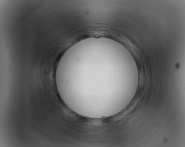 X0000103420377200809121018