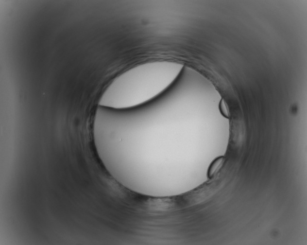 X0000103420378200809121018
