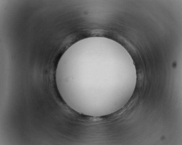 X0000103420379200809121018