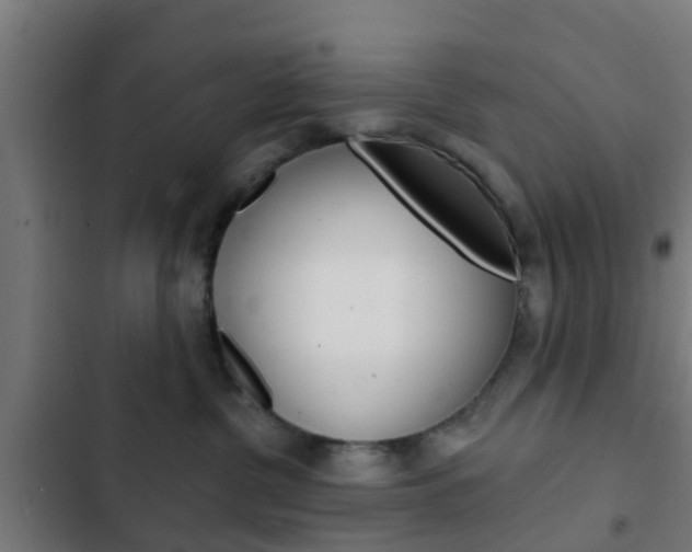 X0000103420380200809121018