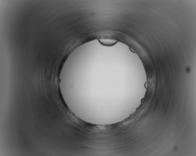 X0000103420381200809121018