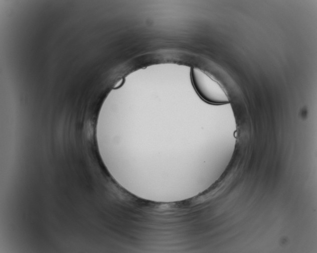 X0000103420382200809121018