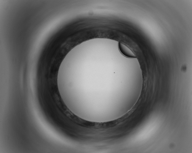 X0000103420383200809121018