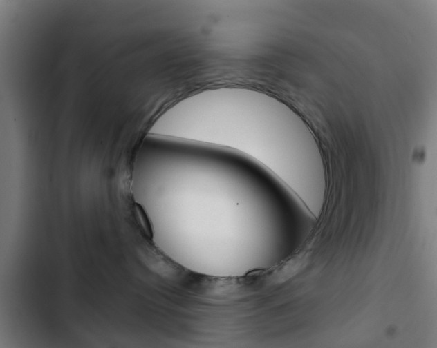 X0000103420384200809121018