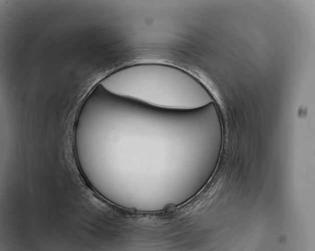 X0000103420385200809121017