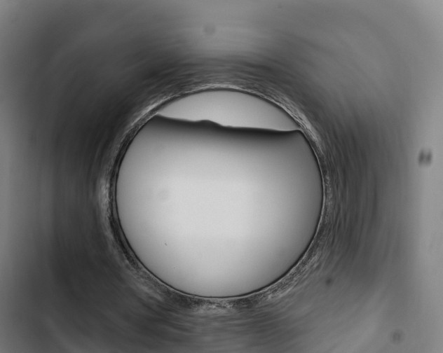 X0000103420386200809121017