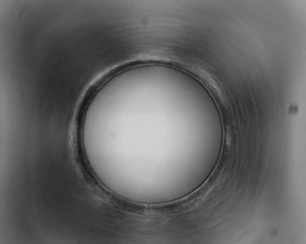 X0000103420388200809121017