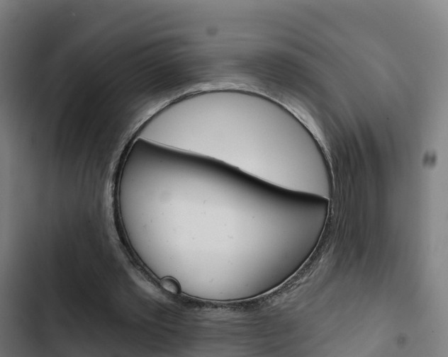 X0000103420389200809121017