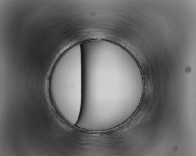 X0000103420390200809121017