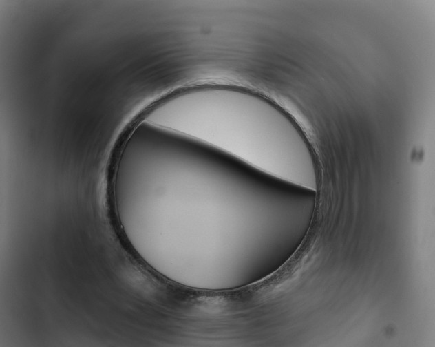 X0000103420391200809121017