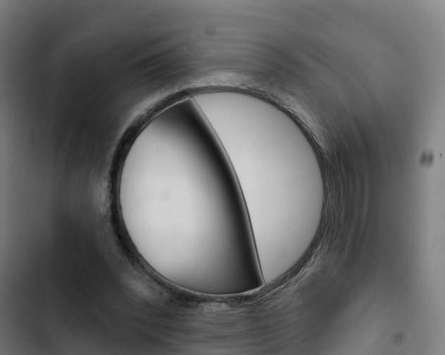 X0000103420392200809121017