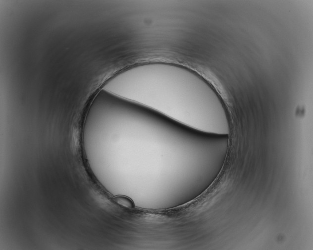 X0000103420393200809121017