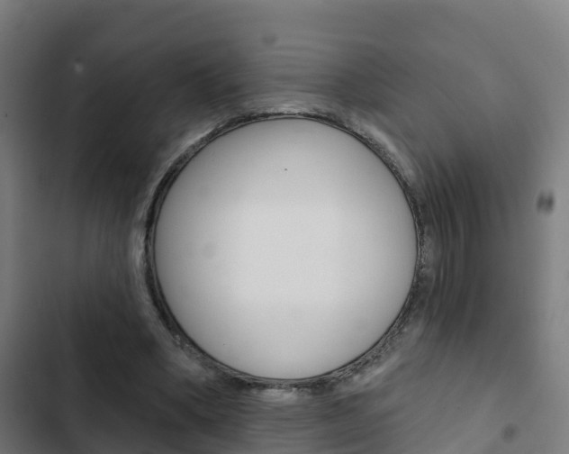 X0000103420394200809121017