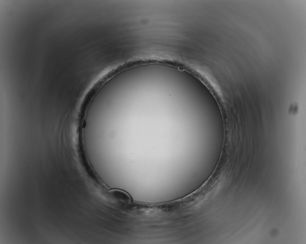 X0000103420395200809121017