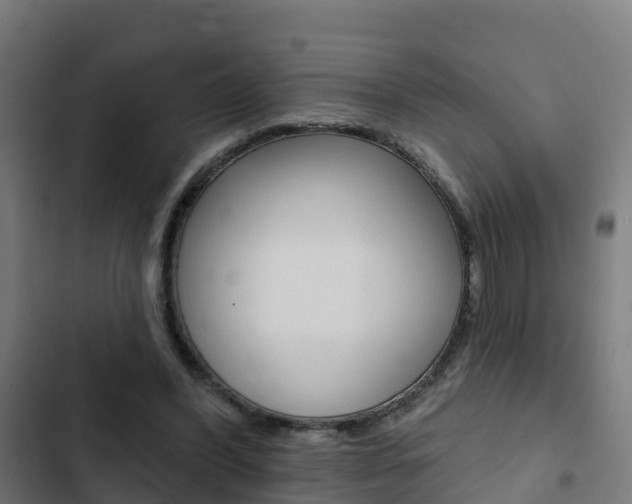 X0000103420396200809121017