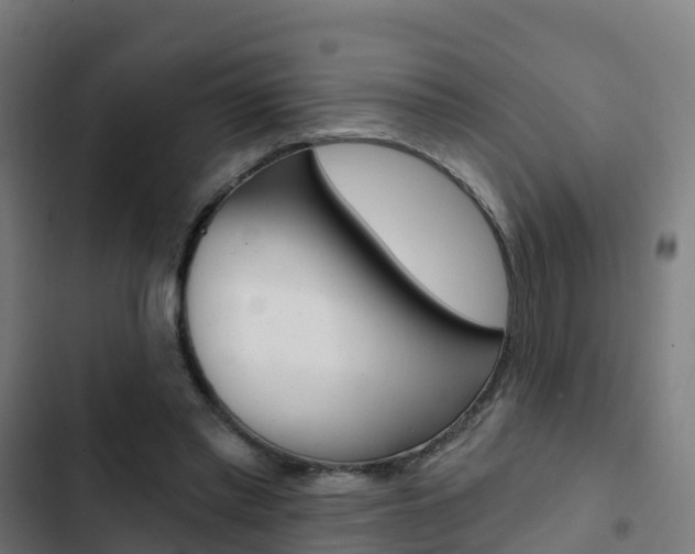 X0000103420397200809121017