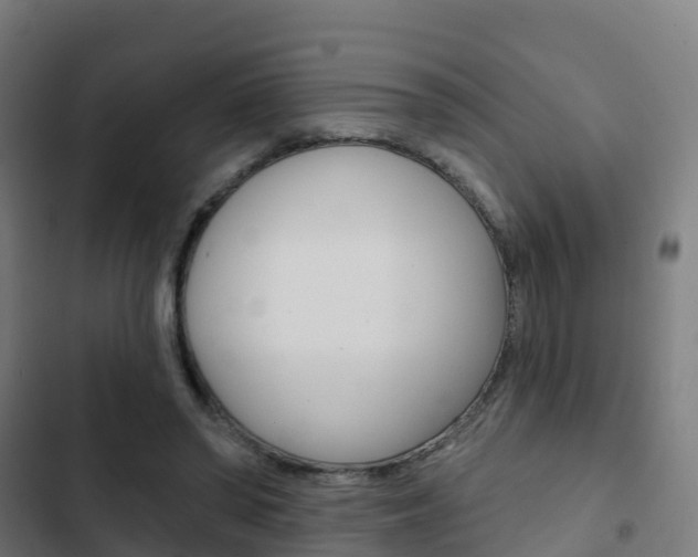 X0000103420398200809121017