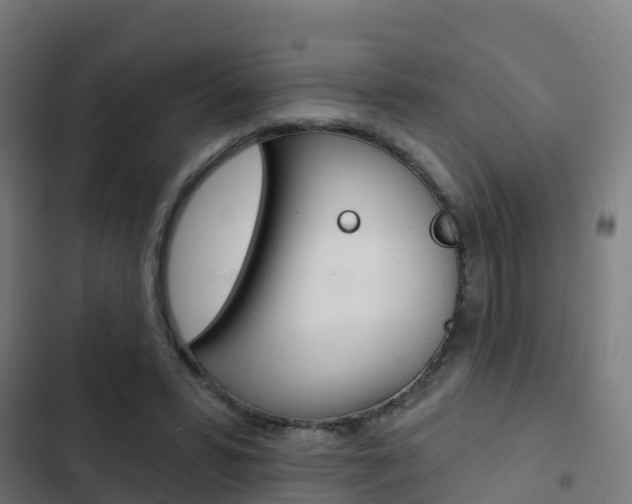 X0000103420399200809121017