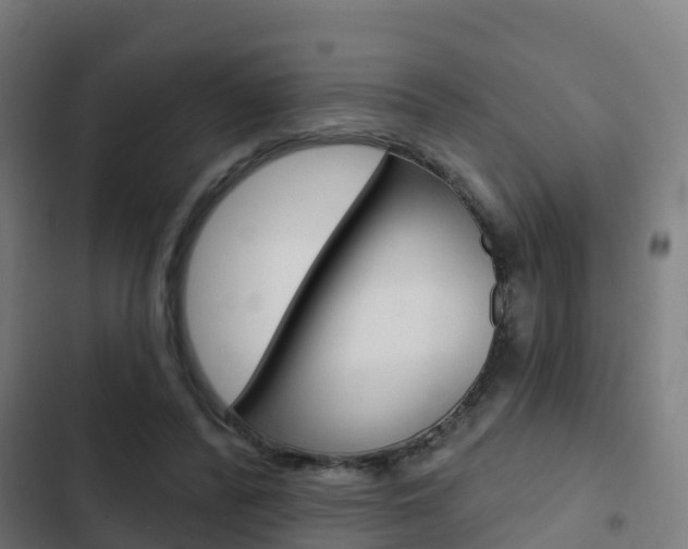X0000103420400200809121017