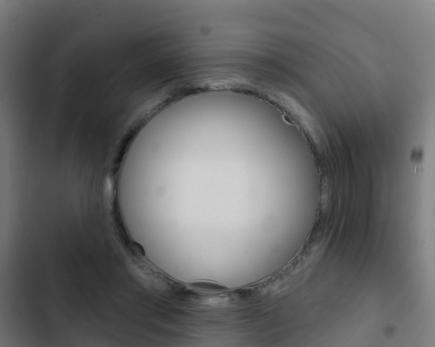 X0000103420405200809121017