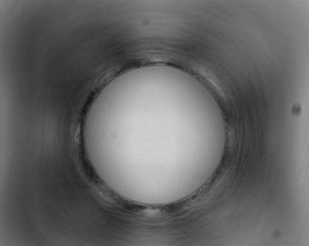X0000103420406200809121017