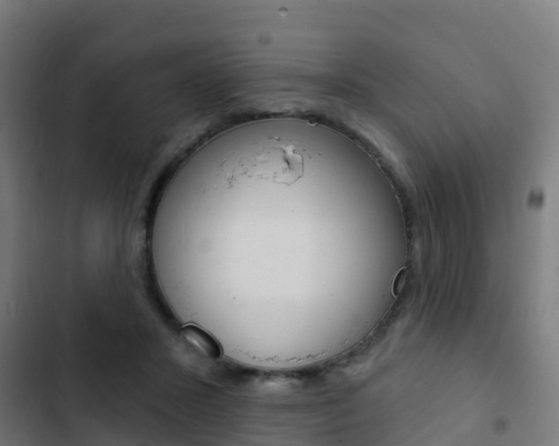X0000103420407200809121017